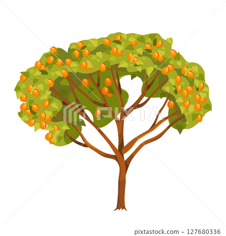 Apricot tree clipart or vector prune fruit plant. Nature garden flora with edible food. Wood blossom and farm greenery. Orchard cultivation symbol. Rural vegan farming. Botany and cultivation, harvest 127680336