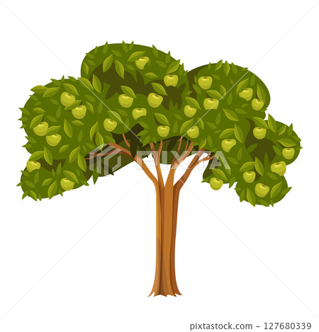 Apple tree or vector plant, garden flora with edible fruit. Orchard seasonal greenery or farm juicy wood. Natural and organic nutrition. Biology and agriculture, horticulture or botany, ecology symbol 127680339