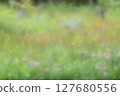 Spring flowers blooming in the fields: red clover and dandelions 127680556