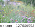 A colorful rock garden with red clover and dandelions blooming 127680558