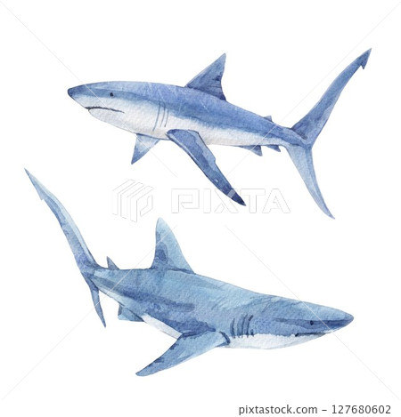 Blue sharks watercolor set. Ocean predator clipart in motion, perfect for sea-themed prints, marine biology materials, kids books, and underwater educational designs. Blue sharks watercolor set. Ocean predator clipart in motion, perfect for sea-themed prints, marine biology materials, kids books, and underwater educational designs. 127680602