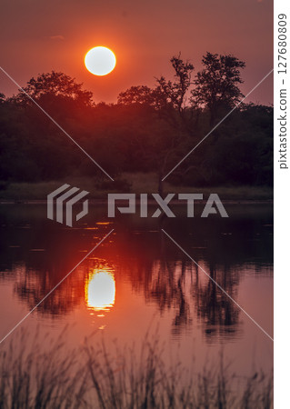 Sunrise in Greater Kruger National park, South Africa 127680809