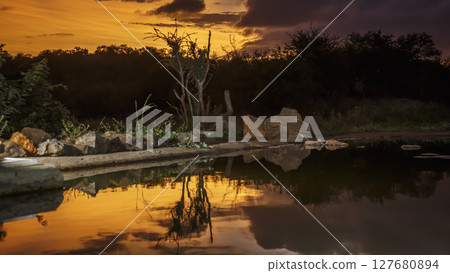Sunset at waterhole in Kruger National park, South Africa Sunset at waterhole in Kruger National park, South Africa 127680894