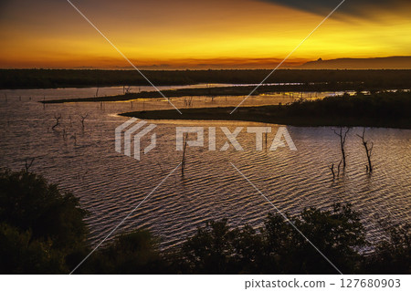 Mopani lake in Kruger National park, South Africa Mopani lake in Kruger National park, South Africa 127680903