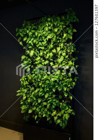 A Modern Office Setting Featuring an Indoor Plant and Stylish Contemporary Lighting Designs A Modern Office Setting Featuring an Indoor Plant and Stylish Contemporary Lighting Designs 127681397
