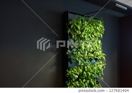 A Modern Office Setting Featuring an Indoor Plant and Stylish Contemporary Lighting Designs A Modern Office Setting Featuring an Indoor Plant and Stylish Contemporary Lighting Designs 127681404