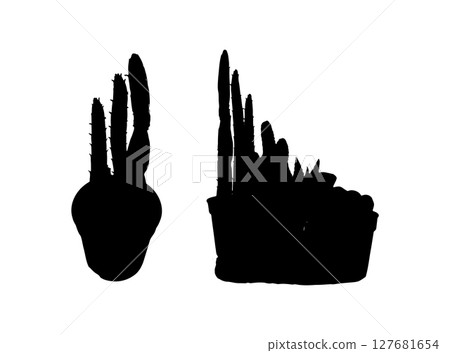 Cactus icon, succulents symbol, plant terrarium simple sign, office table plants silhouettes Cactus icon, succulents symbol, plant terrarium simple sign, office table plants silhouettes 127681654