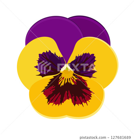Violet Yellow Pansies Vector, Tricolor Viola Symbol, Minimal Viola Flower, Heartsease Flowers 127681689