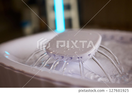 A Playful Ginger Cat at a Water Fountain Captivates with Its Adorable and Curious Nature 127681925