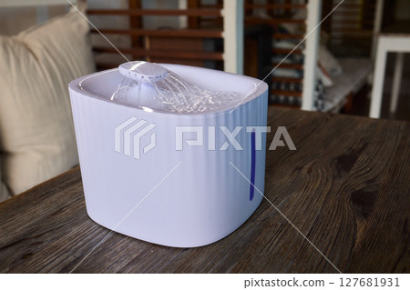 A Playful Ginger Cat at a Water Fountain Captivates with Its Adorable and Curious Nature 127681931