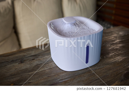 A Playful Ginger Cat at a Water Fountain Captivates with Its Adorable and Curious Nature A Playful Ginger Cat at a Water Fountain Captivates with Its Adorable and Curious Nature 127681942