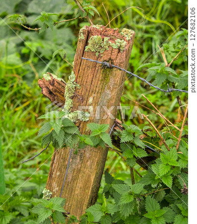 crooked fence post 127682106