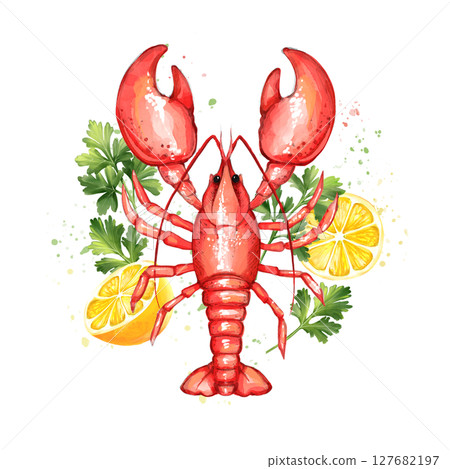 Red Lobster illustration with lemon and parsley. Seafood product, restaurant menu. Hand drawn painting, isolated on white background Red Lobster illustration with lemon and parsley. Seafood product, restaurant menu. Hand drawn painting, isolated on white background 127682197