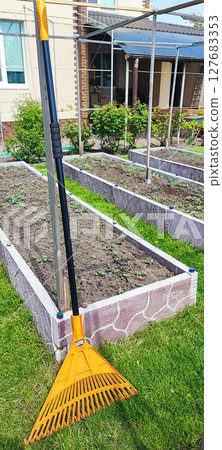 Simple rural gardening concept: plastic leaf rake resting on fruit tree in a tidy backyard with vegetable beds and green lawn Simple rural gardening concept: plastic leaf rake resting on fruit tree in a tidy backyard with vegetable beds and green lawn 127683353