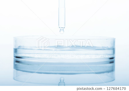 Petri dish and pipette with transparent liquid drop Petri dish and pipette with transparent liquid drop 127684170