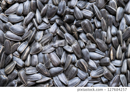 Pile of Roasted Sunflower Background 127684257