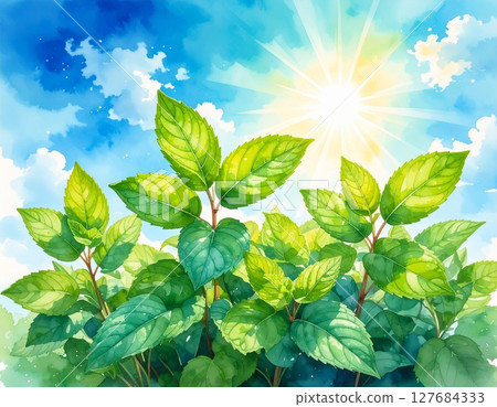 樹葉伸向藍天 127684333