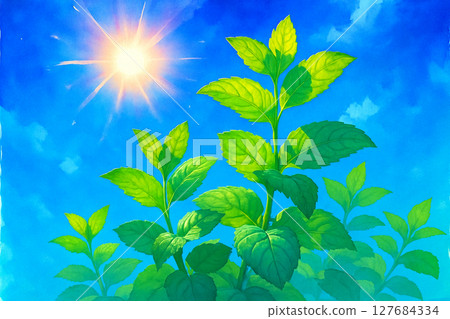 樹葉透明的陽光 127684334