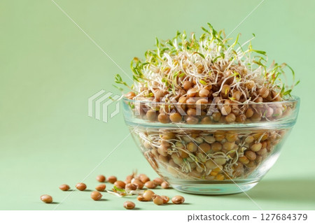 Glass Bowl of Sprouted Lentils with Green Shoots on Pastel Background 127684379