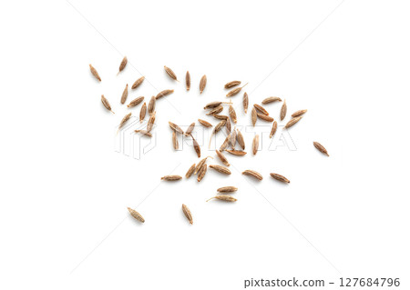 Cumin seed isolated. Caraway or fennel dry seeds close up, zeera macro, Indian cumin or zira grains 127684796