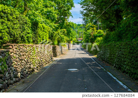 鹿兒島縣和泉市山麓城鎮景觀 127684884