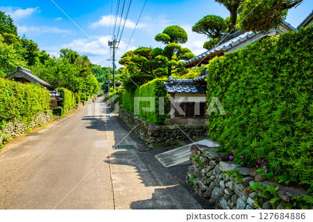 鹿兒島縣和泉市山麓城鎮景觀 鹿兒島縣和泉市山麓城鎮景觀 127684886
