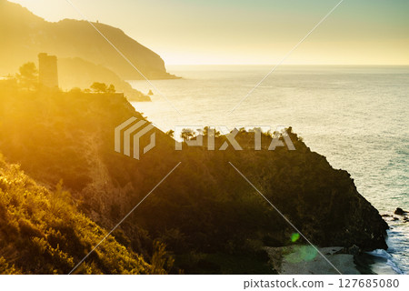 Spanish coast with Pine Tower, Andalusia. 127685080