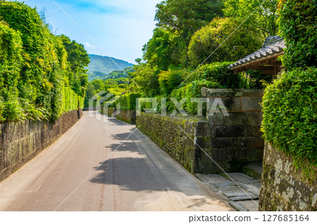 Kagoshima Prefecture, Chiran foothills townscape Kagoshima Prefecture, Chiran foothills townscape 127685164