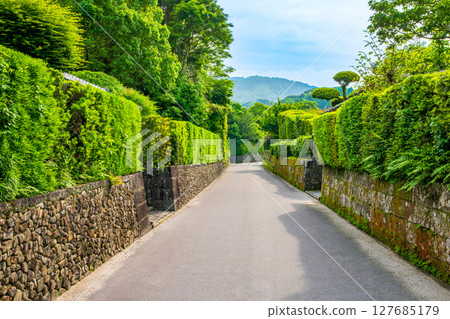 Kagoshima Prefecture, Chiran foothills townscape 127685179