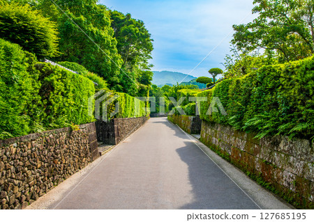 鹿兒島縣知覽山麓城鎮景觀 鹿兒島縣知覽山麓城鎮景觀 127685195