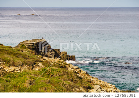 Cathedral Beach in Galicia Spain. 127685391