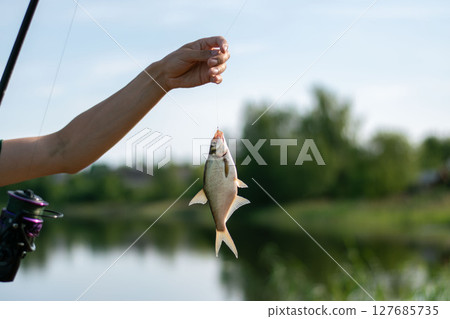 Male hand holding caught bream fish on a hook. River fishing. Sunny day outdoor on water natural background 127685735