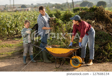 Family of farmers puts branches in a cart 127686134