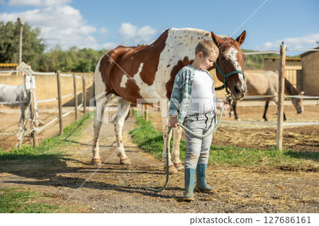 Happy boy leads a horse by the bridle for a walk in pasture 127686161