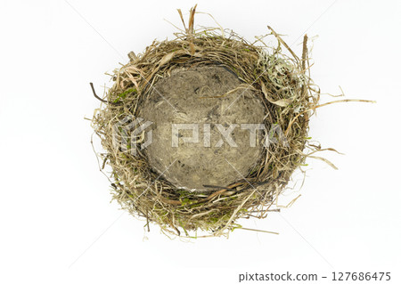 Bird nest 127686475