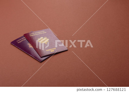 French passport for travelling, flying and doing business. France document French passport for travelling, flying and doing business. France document 127688121