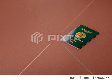 Nigerian International Citizen Passport for global business Nigerian International Citizen Passport for global business 127688253