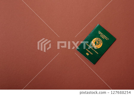 Nigerian International Citizen Passport for global business Nigerian International Citizen Passport for global business 127688254