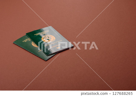 Nigerian International Citizen Passport for global business Nigerian International Citizen Passport for global business 127688265