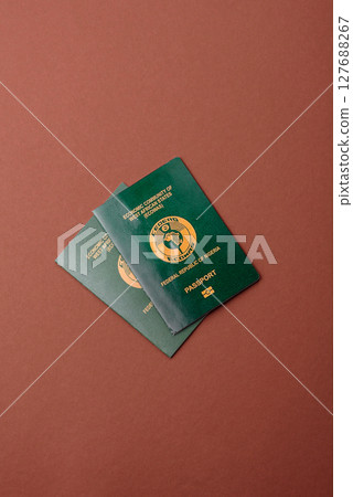 Nigerian International Citizen Passport for global business Nigerian International Citizen Passport for global business 127688267