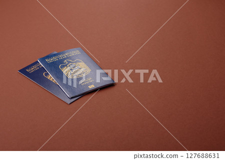OAE passport for travelling, flying and doing business 127688631