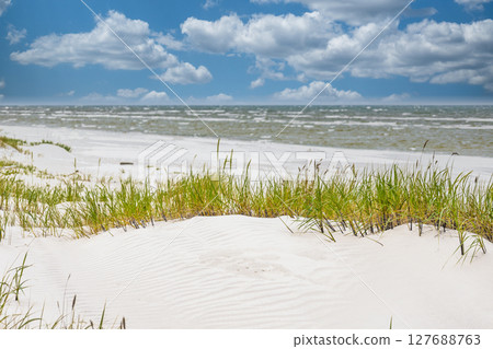 White Sand Dunes and Grass by the Baltic Sea Under Blue Sky with Clouds 127688763