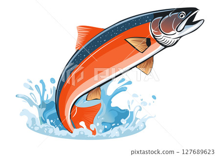 Illustration of a jumping atlantic salmon fish (Salmo salar) Leaping Salmon isolated on white background, fish jumping out of water, Salmon fish jumping out of river water 127689623