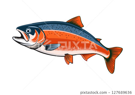 Illustration of a jumping atlantic salmon fish (Salmo salar) Leaping Salmon isolated on white background 127689636