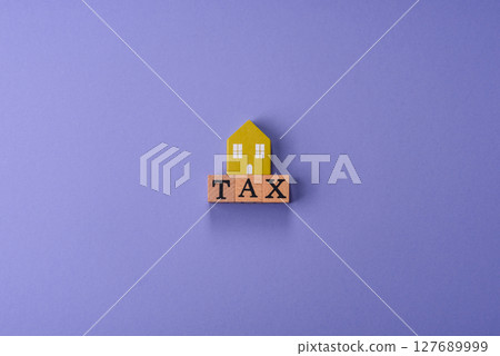 Tax on real estate, property, car or business. Mortgage finance payments 127689999