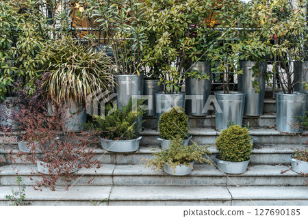 Creative Terrace Garden with Vintage Metal Planters Creative Terrace Garden with Vintage Metal Planters 127690185