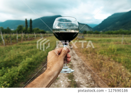 Hand Holding Red Wine Glass in Vineyard on a Summer Day Hand Holding Red Wine Glass in Vineyard on a Summer Day 127690186