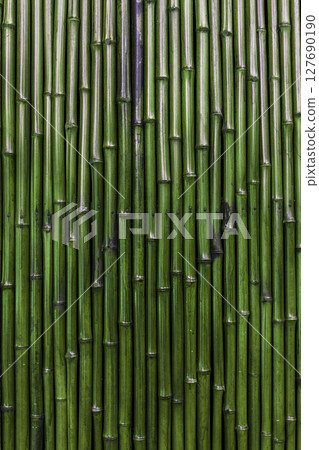 Green Bamboo Wall Background texture 127690190