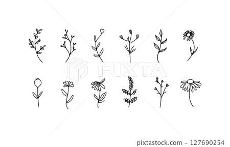 Elegant Botanical Minis. A curated collection of miniature botanical sketches, ideal for soft visual identity and eco branding. Elegant Botanical Minis. A curated collection of miniature botanical sketches, ideal for soft visual identity and eco branding. 127690254
