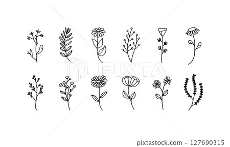 Silhouette Flower Cluster. Cluster of black silhouette flowers with flowing stems and varied shapes. 127690315
